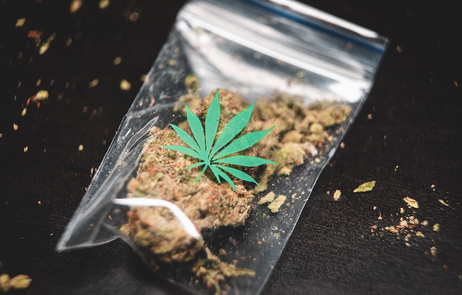 ¿Cuánto tiempo pueden durar las flores de cannabis en bolsas de Mylar reciclables?