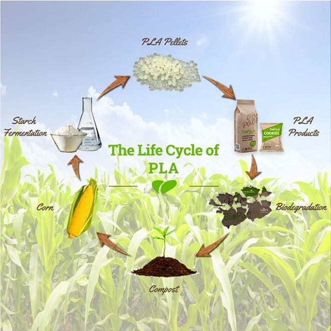 &iquest;Las bolsas de maicena realmente se compostan y se descomponen?