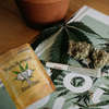 Bolsos reciclables de Mylar del cannabis del verde PE modificado para requisitos particulares de la impresión con la cremallera a prueba de niños