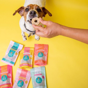 El reciclable impreso colorido se levanta el bolso amarillo de los bocados de la comida de perro con la cremallera