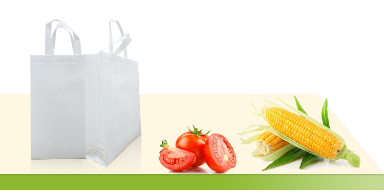 Bolso no tejido soluble en agua